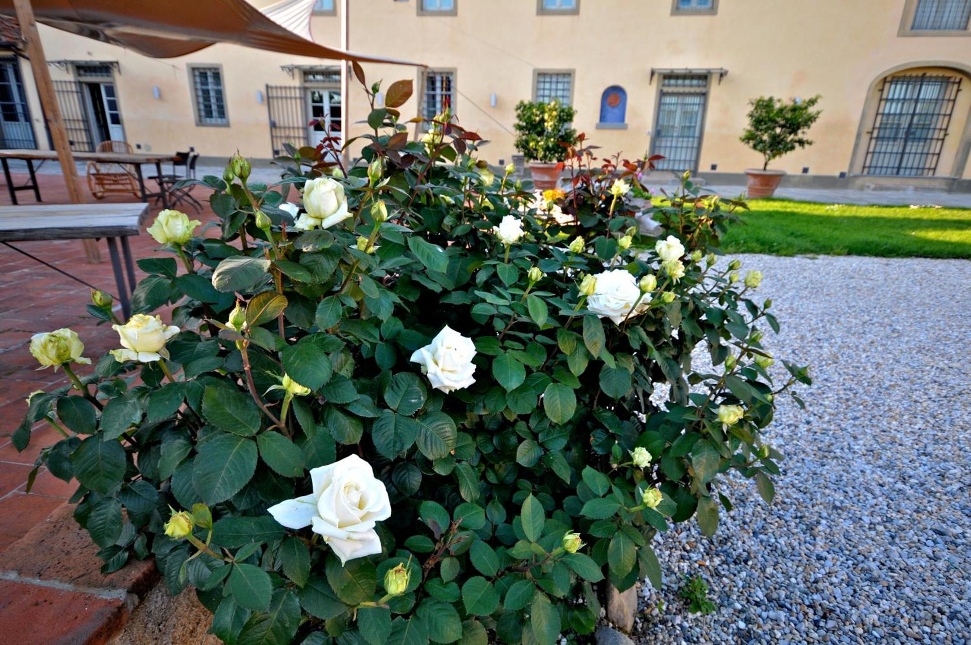 Agriturismo San Rocco Pistoia Exterior photo
